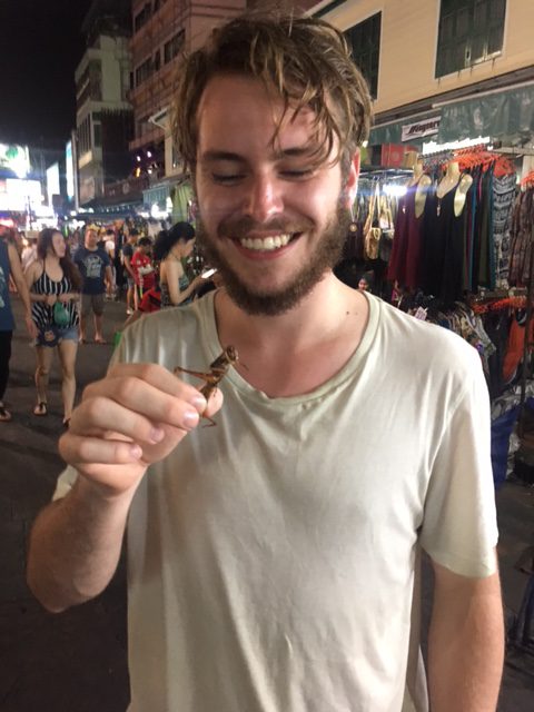 Fried locusts at a Bangkok street stall