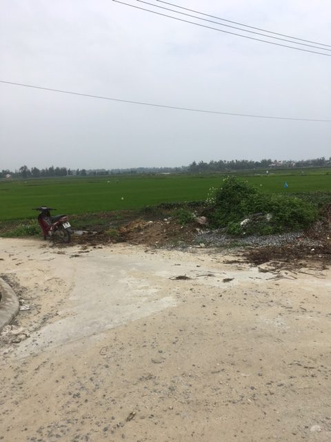 Rice paddies on the outskirts of Hoi An