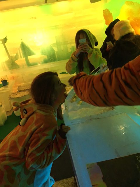 Inside the Ko Samui ice bar